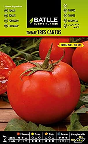Tomate TRES CANTOS
